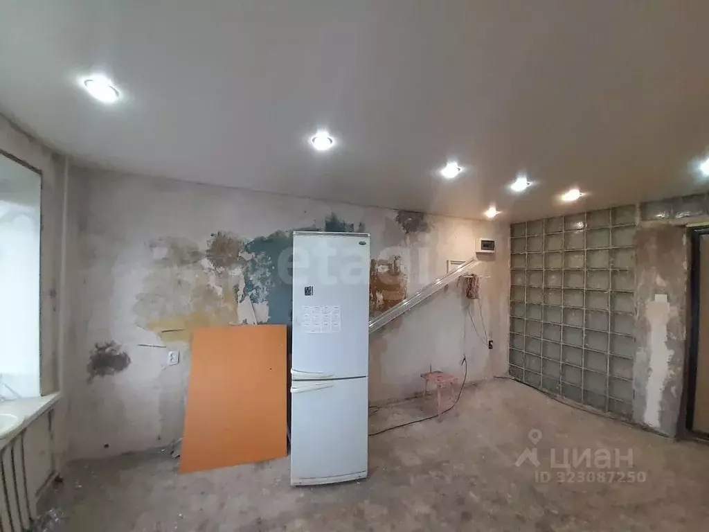 Комната Белгородская область, Белгород ул. Горького, 67 (22.0 м) - Фото 2