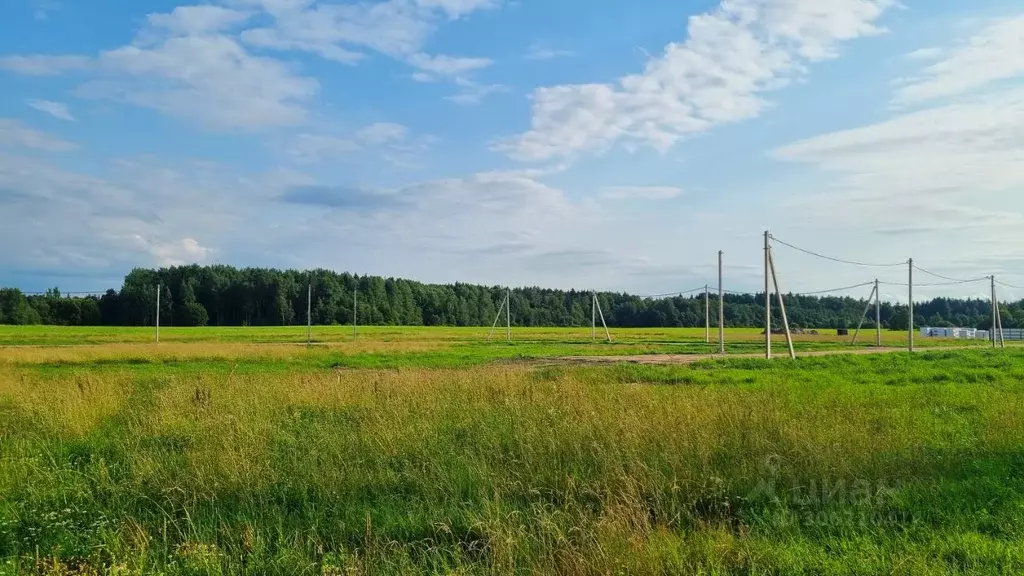 Участок в Санкт-Петербург пос. Левашово, Про Левашово кп,  (12.83 ... - Фото 0