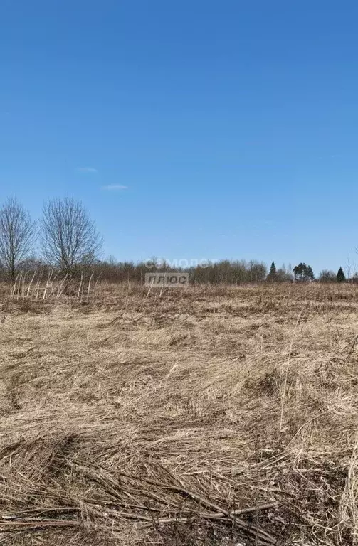 Участок в Ленинградская область, Тосненский район, Любанское городское ... - Фото 1