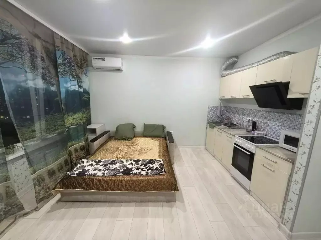 Студия Московская область, Ленинский городской округ, д. Сапроново, ... - Фото 1