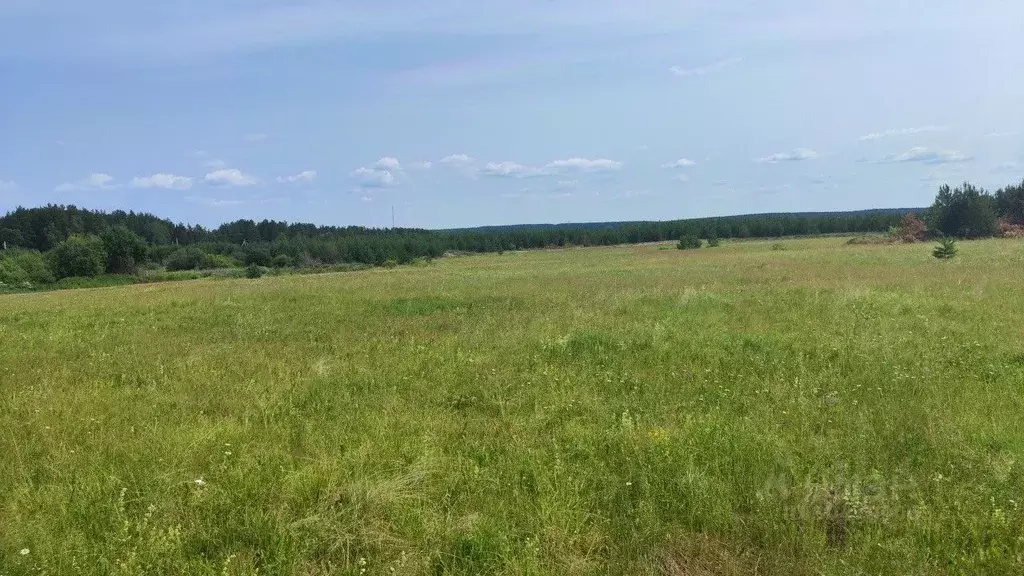 Участок в Свердловская область, Березовский городской округ, пос. ... - Фото 0