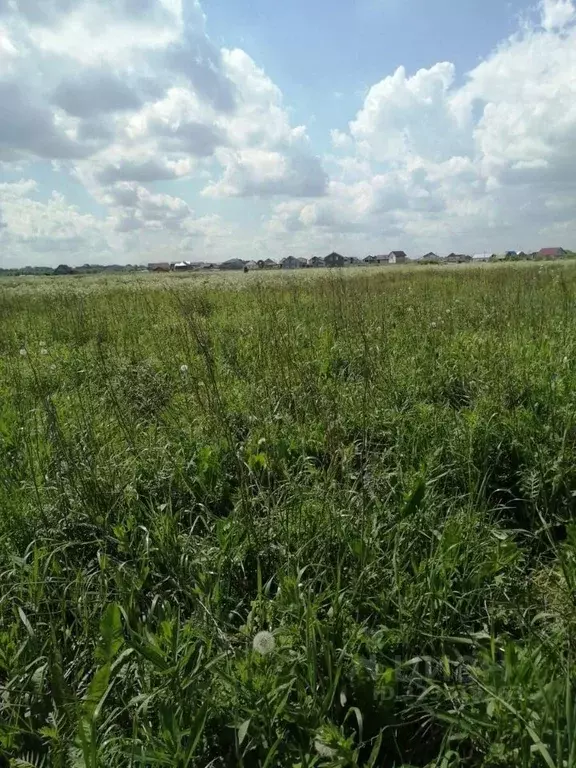 Участок в Ленинградская область, Ломоносовский район, Оржицкое с/пос, ... - Фото 1