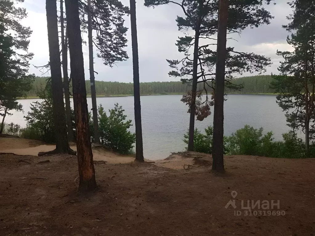 Участок в Псковская область, Гдовский район, Полновская волость, с. ... - Фото 0