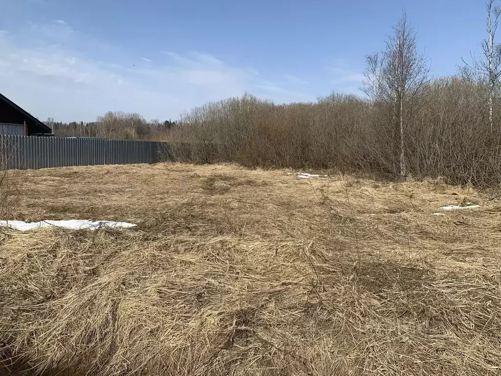 Участок в Московская область, Рузский муниципальный округ, д. Козлово  ... - Фото 2