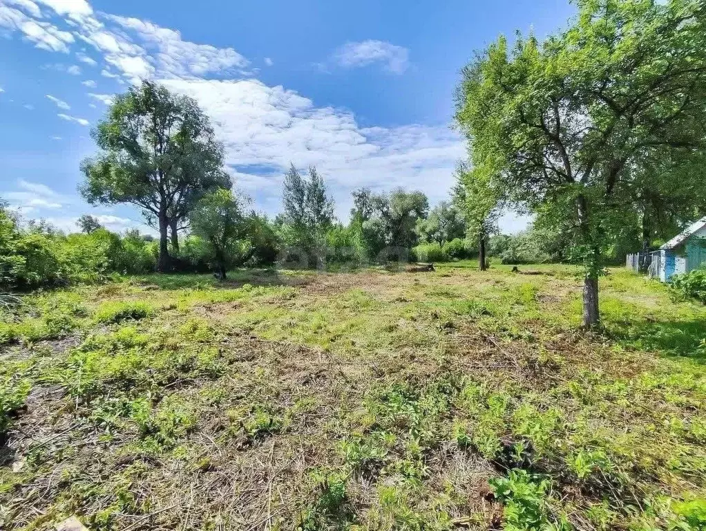 Участок в Новосибирская область, Искитим Зеленый Бор садовое ... - Фото 1