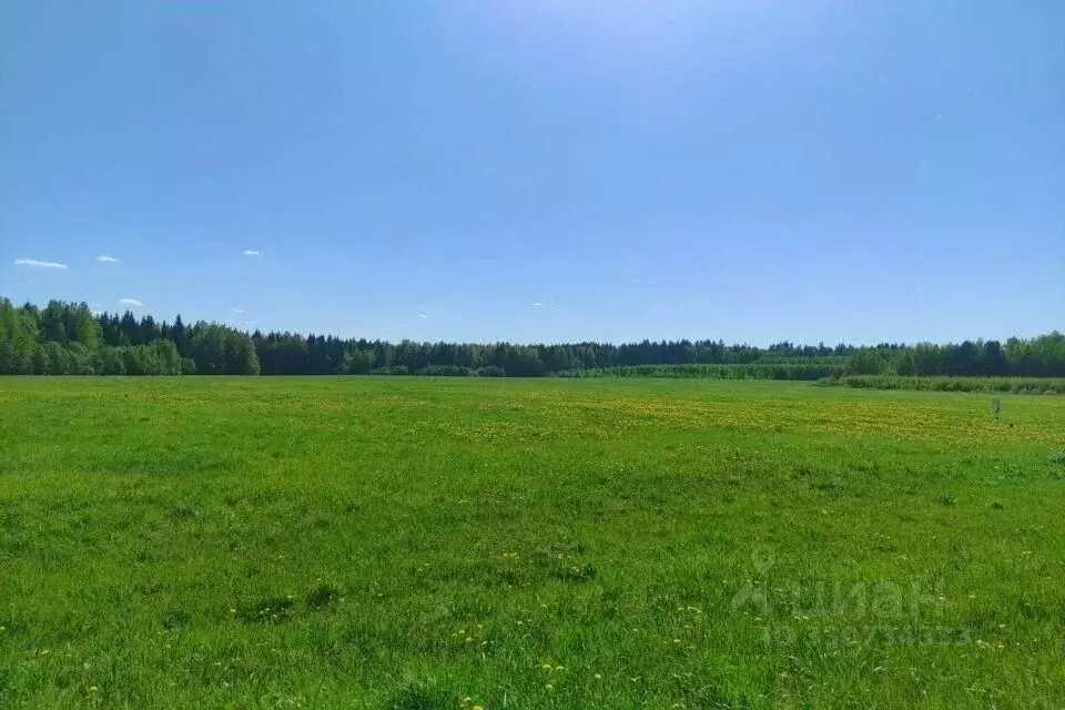 Участок в Московская область, Дмитровский муниципальный округ, ... - Фото 2