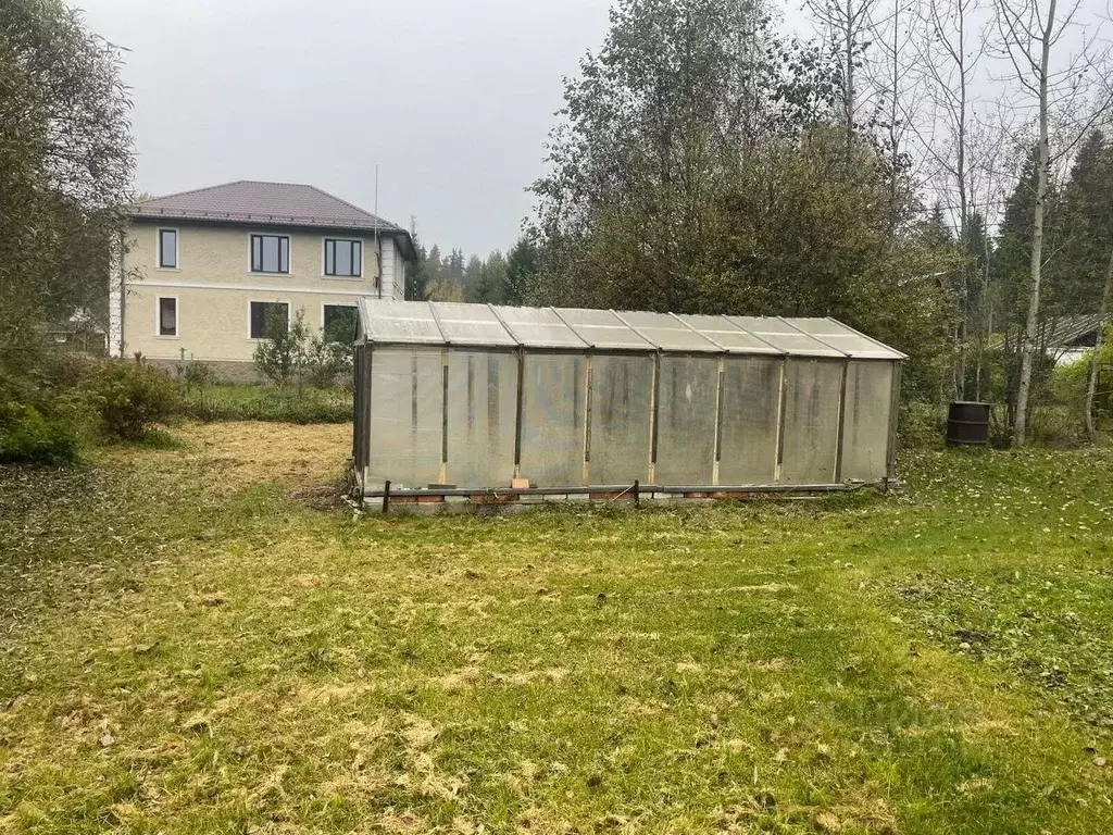 Участок в Ленинградская область, Выборгский район, Красносельское ... - Фото 2