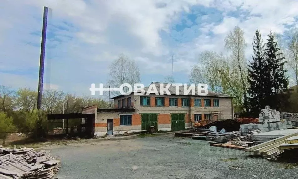 Помещение свободного назначения в Новосибирская область, Тогучин ... - Фото 1