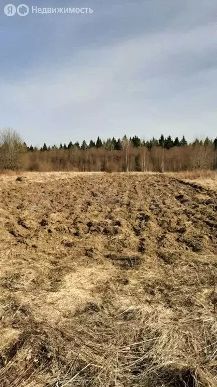 Участок в Ленинградская область, Гатчинский муниципальный округ, ... - Фото 1