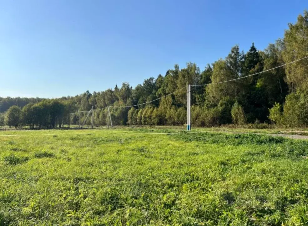 Участок в Московская область, Мытищи городской округ, д. Фелисово, ... - Фото 0