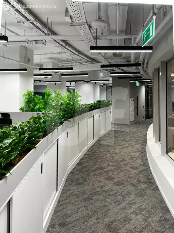 Офис (6504 м) - Фото 1