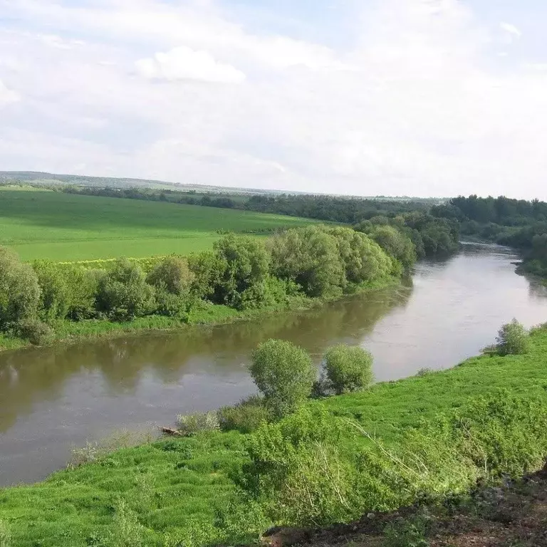 Участок в Тульская область, Белевский район, Правобережное с/пос  ... - Фото 1