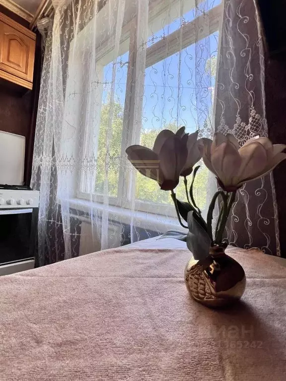 1-к кв. Санкт-Петербург ул. Белы Куна, 15К2 (31.1 м) - Фото 1