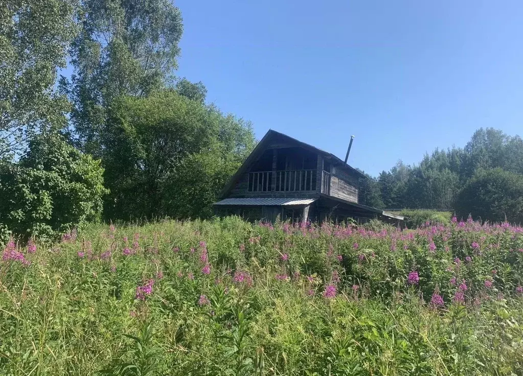 Участок в Ленинградская область, Выборгский район, Каменногорское ... - Фото 2