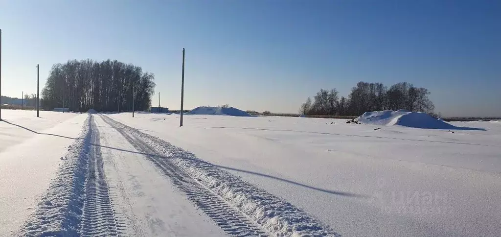 Участок в Алтайский край, Первомайский район, с. Фирсово, Березовый ... - Фото 1