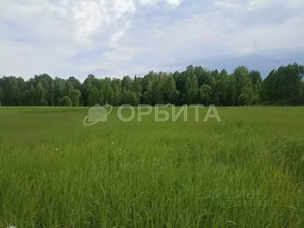 Участок в Тюменская область, Нижнетавдинский муниципальный округ, ... - Фото 1