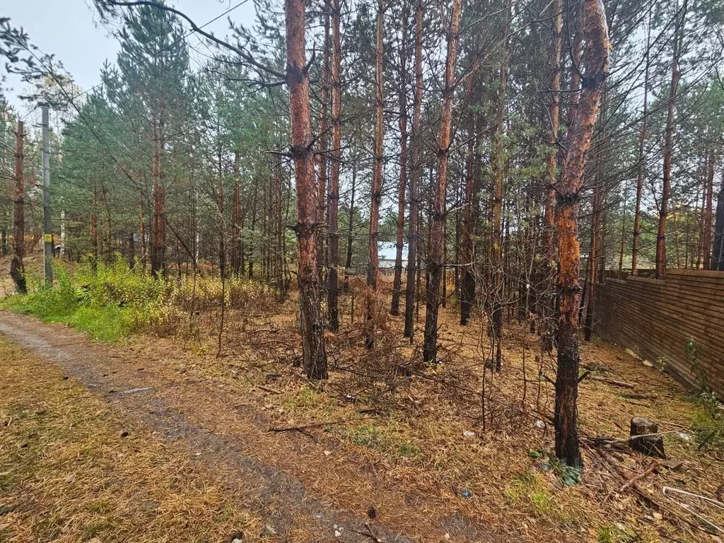 Участок в Татарстан, Зеленодольск Трудовик садовое товарищество,  (5.0 ... - Фото 0