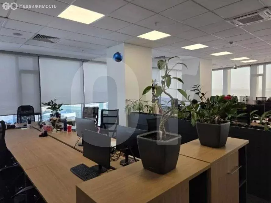 Офис (2000 м) - Фото 2