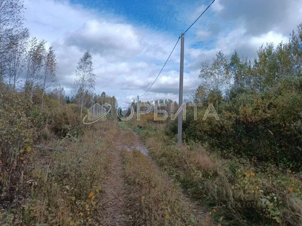 Участок в Тюменская область, Нижнетавдинский район, Сундукульский ... - Фото 1