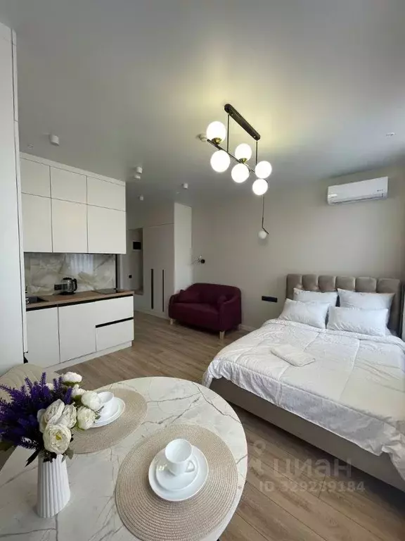 Студия Москва Березовая аллея, 19к6 (24.0 м) - Фото 1