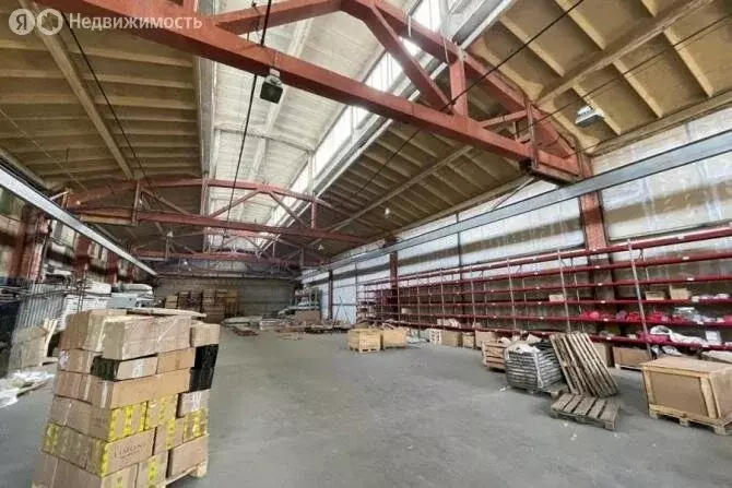 Помещение свободного назначения (1131 м) - Фото 2