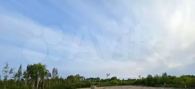 Участок 10,6 сот. (ИЖС) - Фото 0