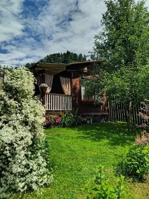 Дом в Алтай, Турочакский район, с. Артыбаш Солнечный пер., 3 (36 м) - Фото 0