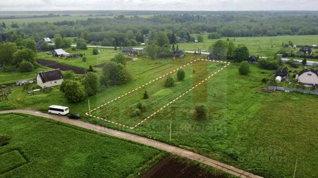 Участок в Ленинградская область, Волосовский район, Большеврудское ... - Фото 0