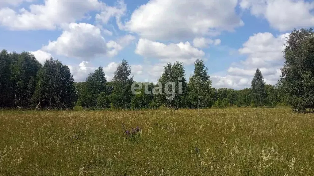 Участок в Новосибирская область, Новосибирский район, Барышевский ... - Фото 0