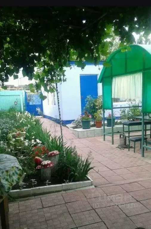 Дом в Саратовская область, с. Александровка ул. Новосельская, 9 (90 м) - Фото 1