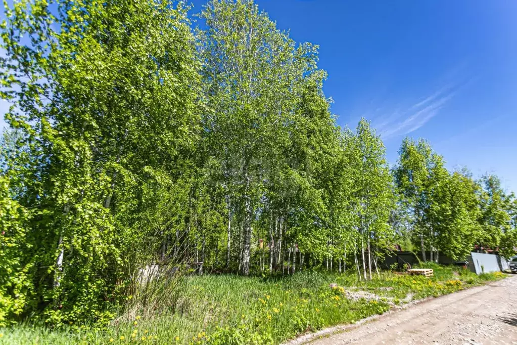 Участок в Новосибирская область, Искитимский район, Мичуринский ... - Фото 0