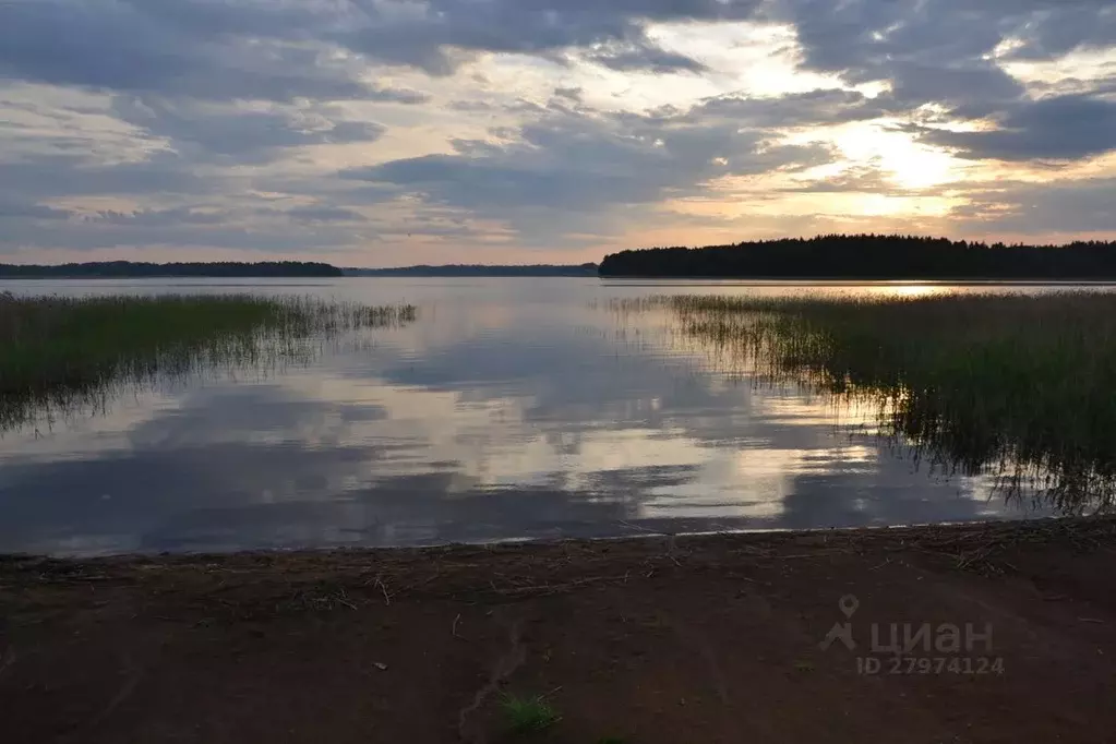 Участок в Тверская область, Осташковский городской округ, д. Радухово  ... - Фото 0