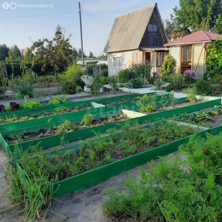 Дом в Ишим, СНТ Медик (30 м) - Фото 2