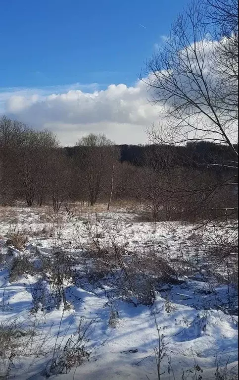 Участок в Московская область, Ступино городской округ, д. Лаптево ул. ... - Фото 0