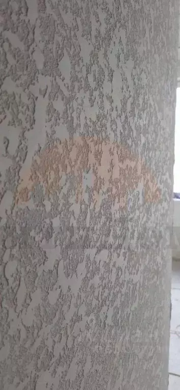 3-к кв. Крым, Саки ул. Заводская, 64 (75.0 м) - Фото 2