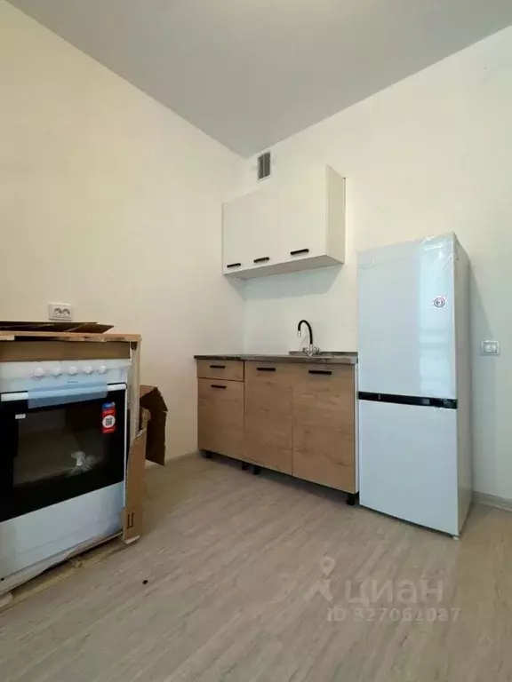 1-к кв. Санкт-Петербург пос. Шушары, просп. Старорусский, 5к1 (29.0 м) - Фото 1