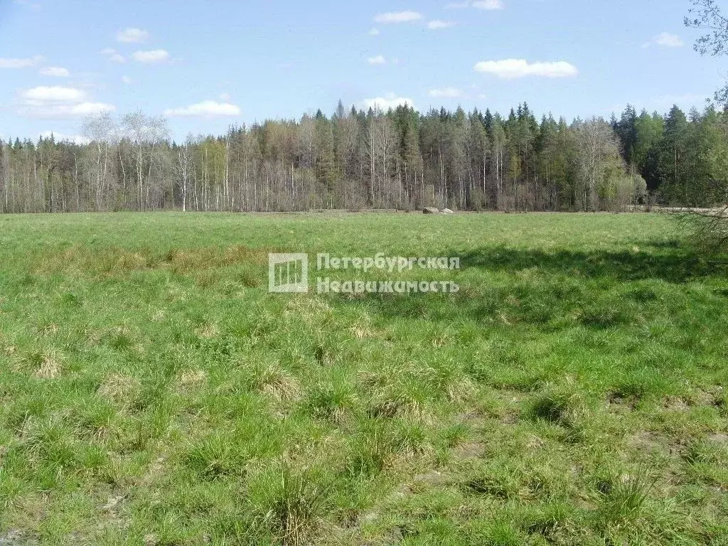 Участок в Ленинградская область, Выборгский район, Советское городское ... - Фото 1