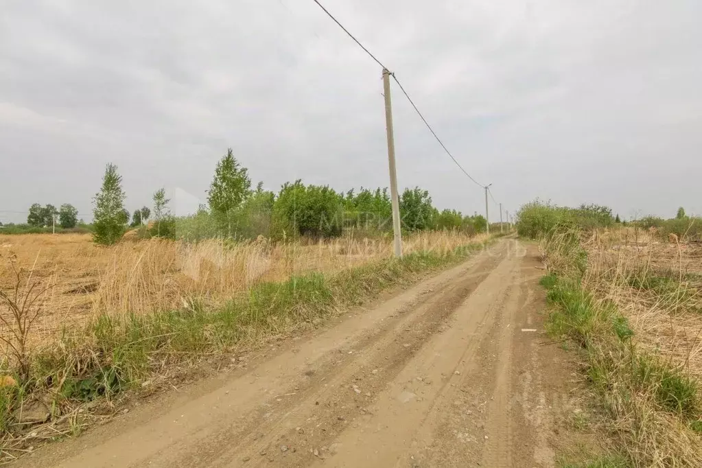 Участок в Тюменская область, Тюмень Поле Чудес-2 садовое товарищество, ... - Фото 1