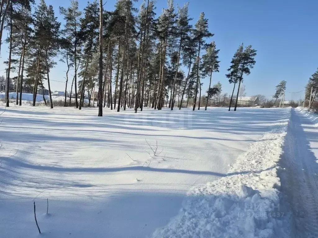 Участок в Воронежская область, Рамонский район, с. Новоживотинное ... - Фото 1