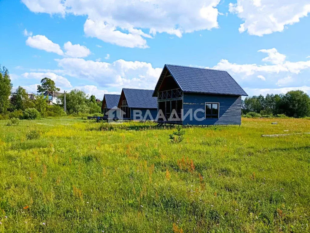 Продается участок в д. Боровково - Фото 1