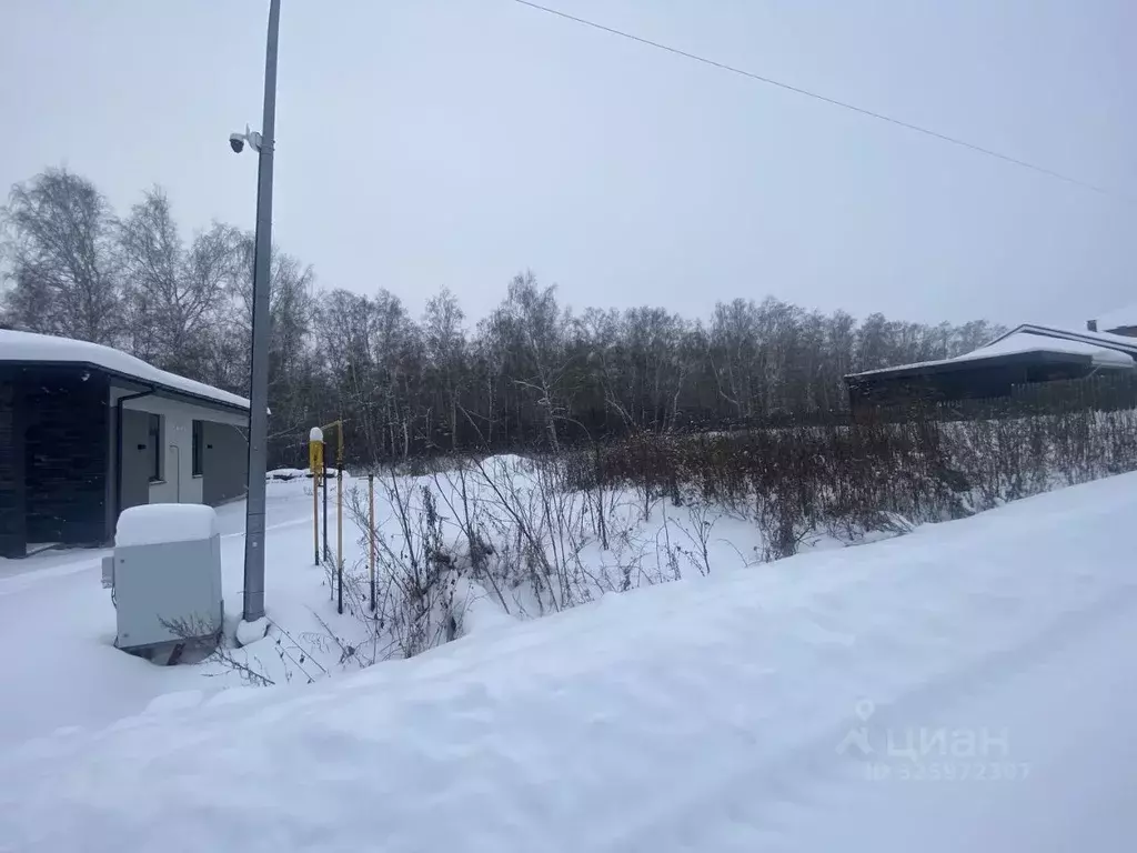 Участок в Тюменская область, Тюменский муниципальный округ, с. Луговое ... - Фото 2