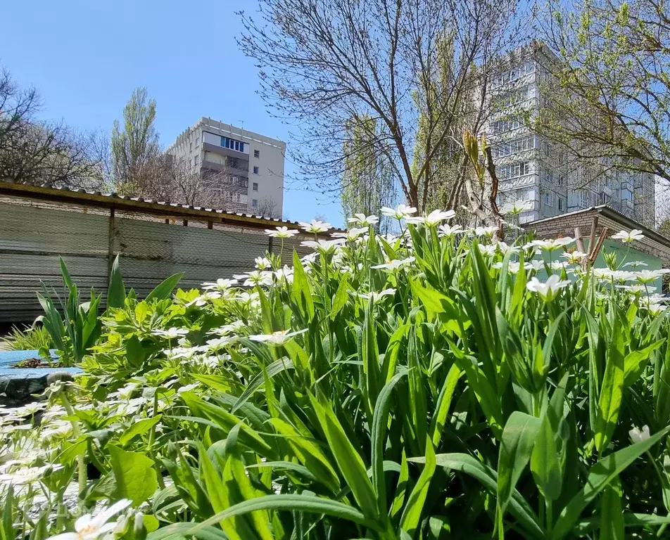Продаётся 1-к квартира, 37 м - Фото 1