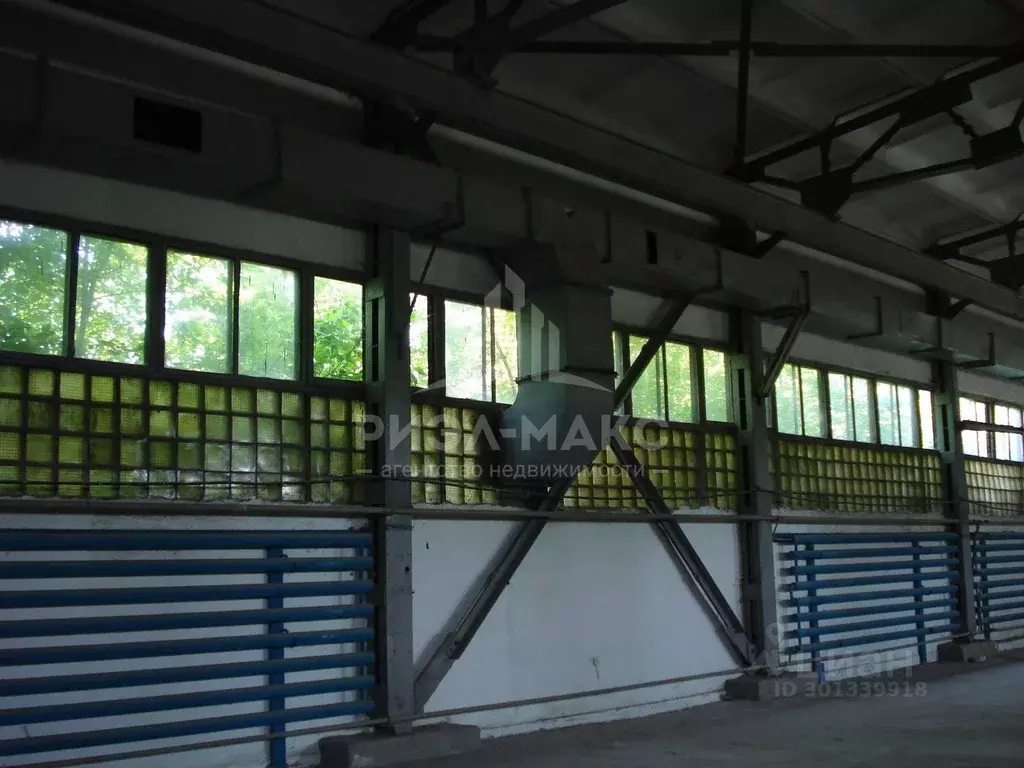 Производственное помещение в Московская область, Шатура Черноозерский ... - Фото 2