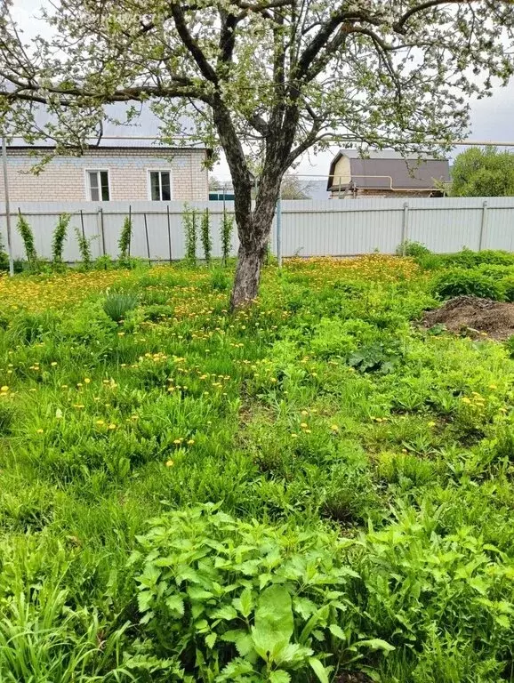 3-комнатная квартира: Йошкар-Ола, Лесная улица, 11 (60 м) - Фото 0