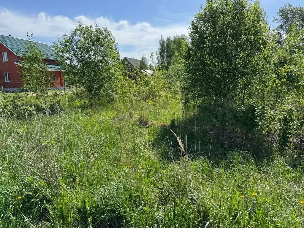 Участок в Московская область, Богородский городской округ, с. ... - Фото 0