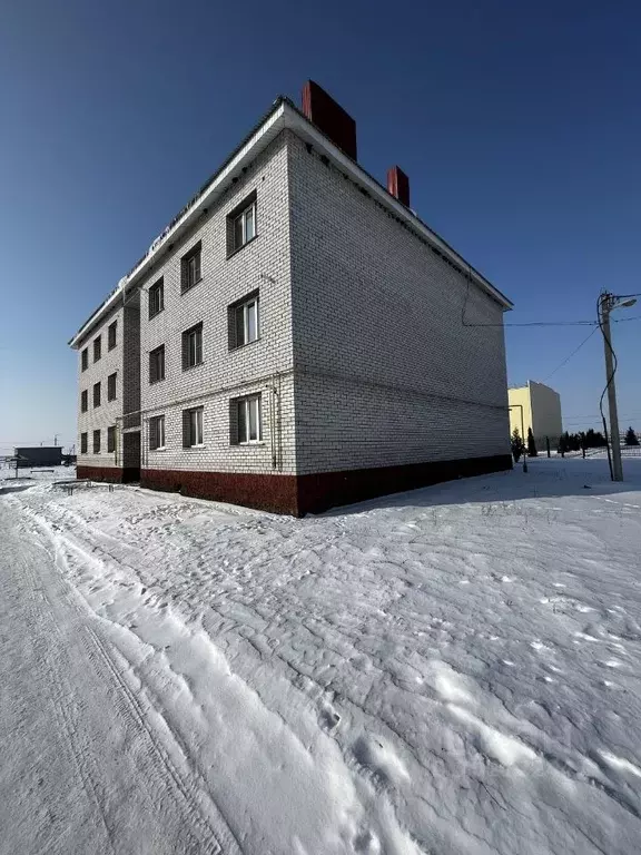 1-к кв. Рязанская область, Александро-Невский рп ул. Солнечная, 5А ... - Фото 1