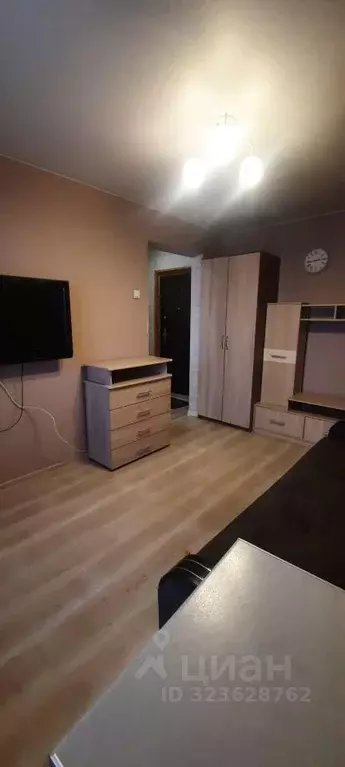 1-к кв. Красноярский край, Красноярск ул. Гастелло, 22 (28.0 м) - Фото 1