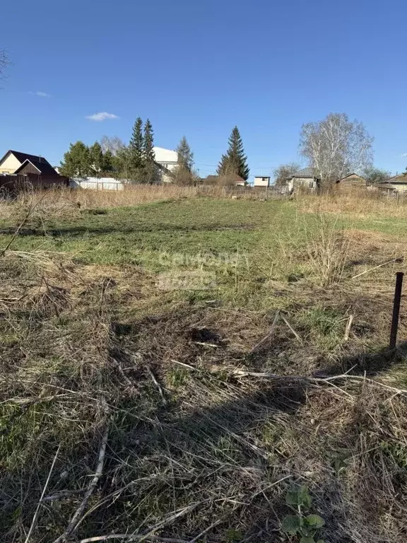 Участок в Новосибирская область, с. Новолуговое ул. Андреева (6.0 ... - Фото 0