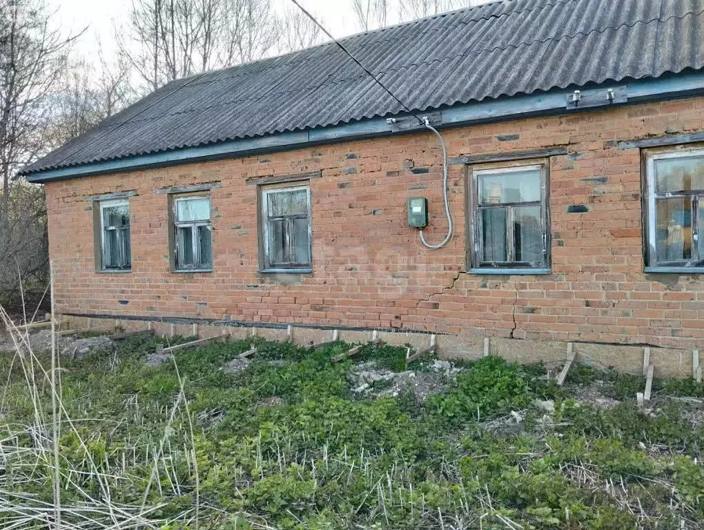 Дом в Новодеревеньковский район, Судбищенское сельское поселение, село ... - Фото 2