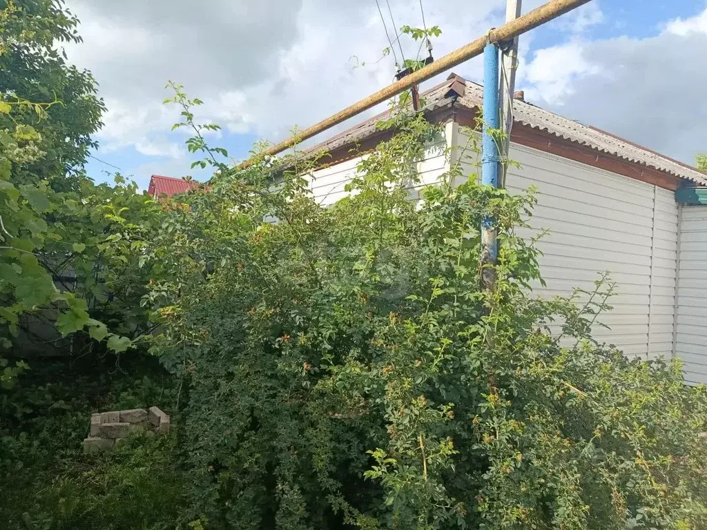 Дом в Белгородская область, Волоконовка рп ул. Комарова, 17 (40 м) - Фото 1